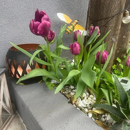 Kuca Za Odmor Josip Split