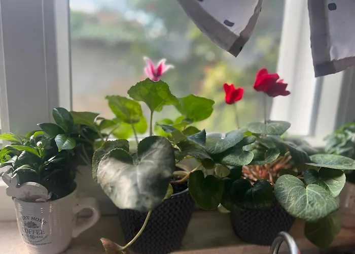 Kuca Za Odmor Josip 斯普利特